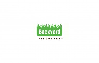 Backyard Discovery